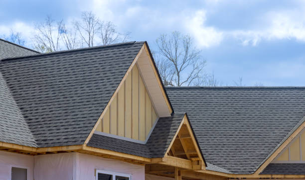 Best Roof Insulation Installation  in Eureka, IL